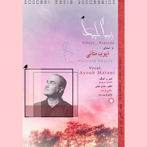 آهنگ ایوب متانی زیبای ناپیدا