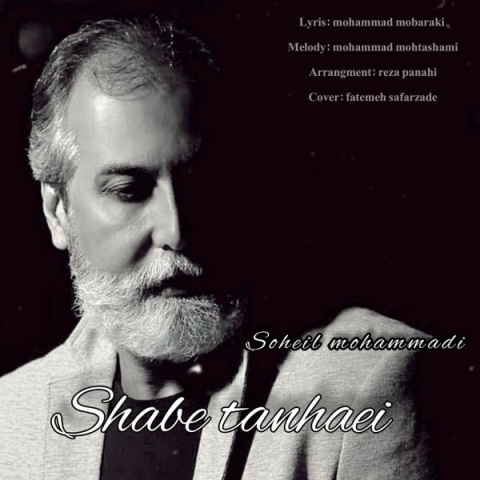 آهنگ سهیل محمدی شب تنهایی