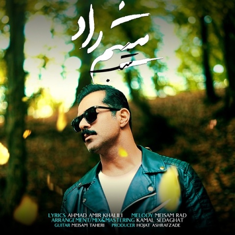 آهنگ میثم راد شب