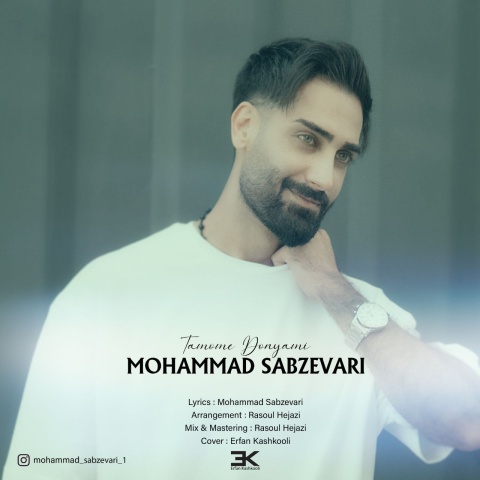 آهنگ محمد سبزواری تموم دنیامی