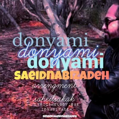 آهنگ سعید نبی زاده دنیامی