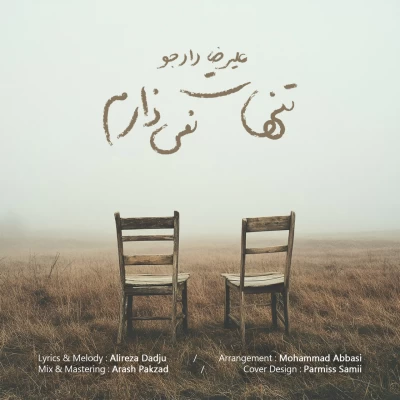 آهنگ علیرضا دادجو تنهات نمی ذارم