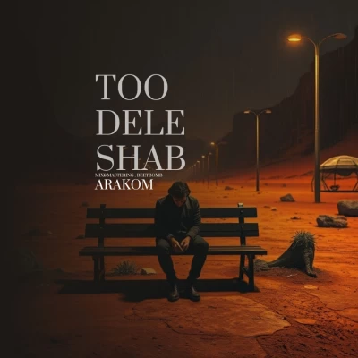 آهنگ آراکوم تو دل شب