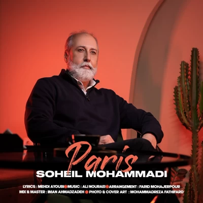 آهنگ سهیل محمدی پاریس