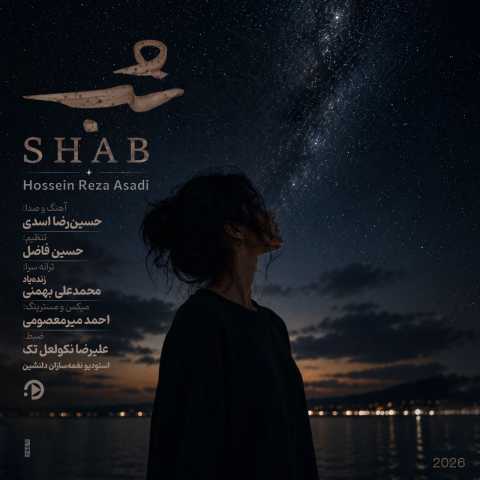 آهنگ حسین رضا اسدی شب